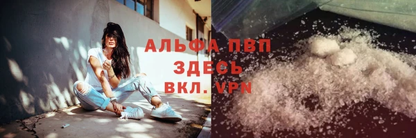 индика Богданович