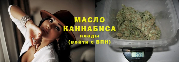 индика Богданович