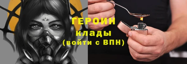 индика Богданович