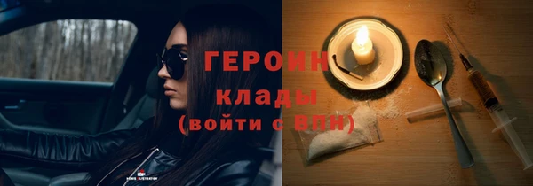 индика Богданович