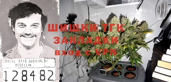 mdpv Богородицк