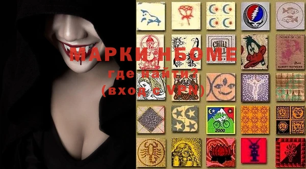 индика Богданович