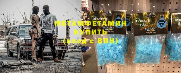 индика Богданович