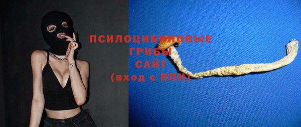 индика Богданович
