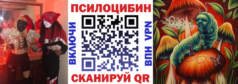 Галлюциногенные грибы Psilocybe  ссылка на мегу ONION  Колпашево  купить  